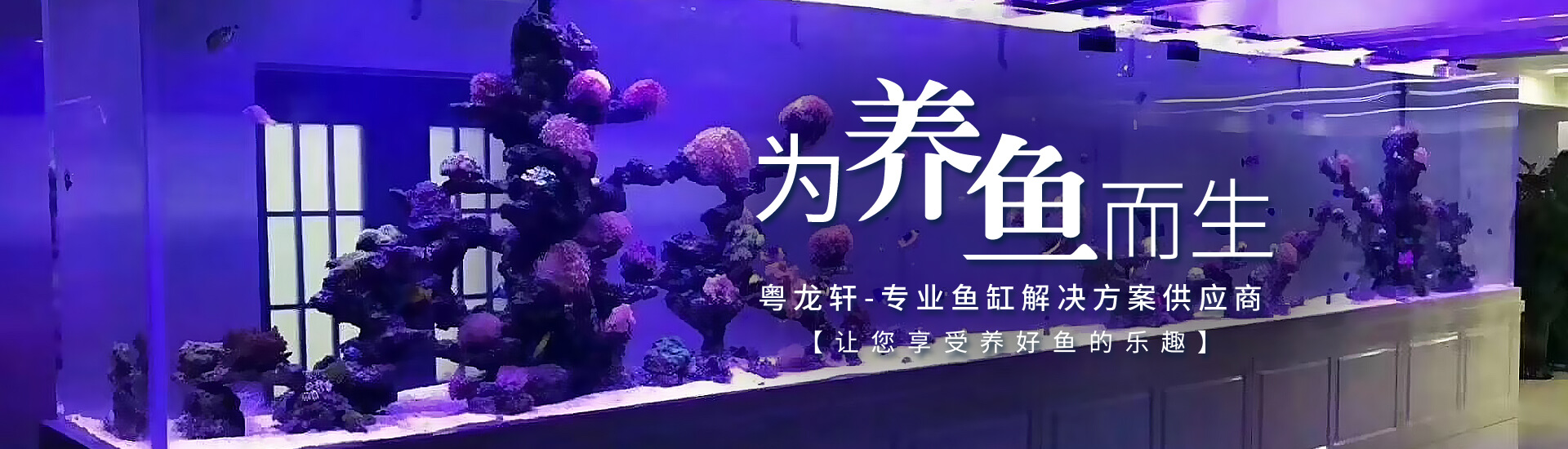 酒店海鮮池定做